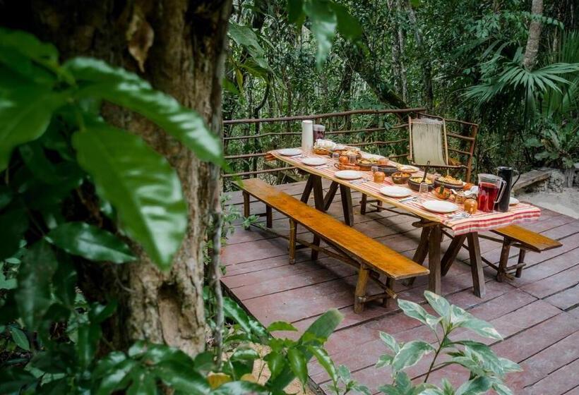 בית מלון כפרי Rotamundos Mama Loomm