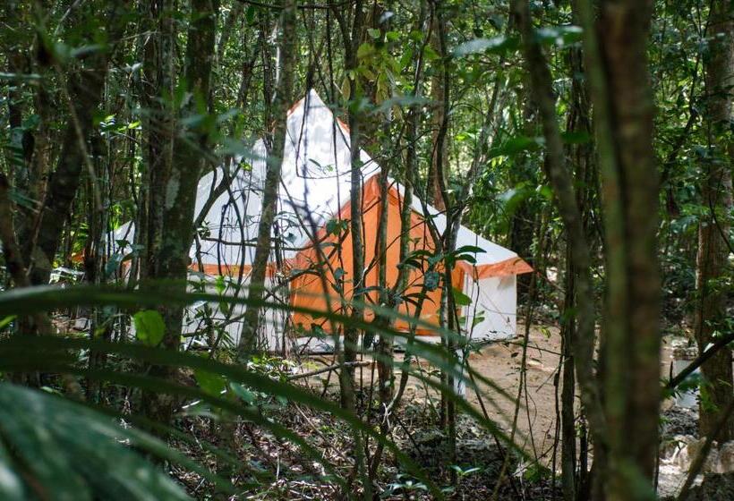 בית מלון כפרי Rotamundos Mama Loomm