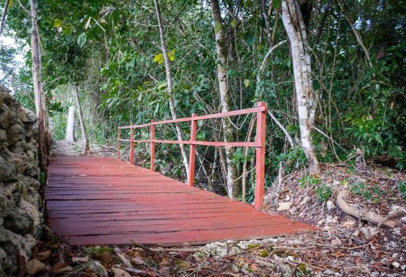 בית מלון כפרי Rotamundos Mama Loomm