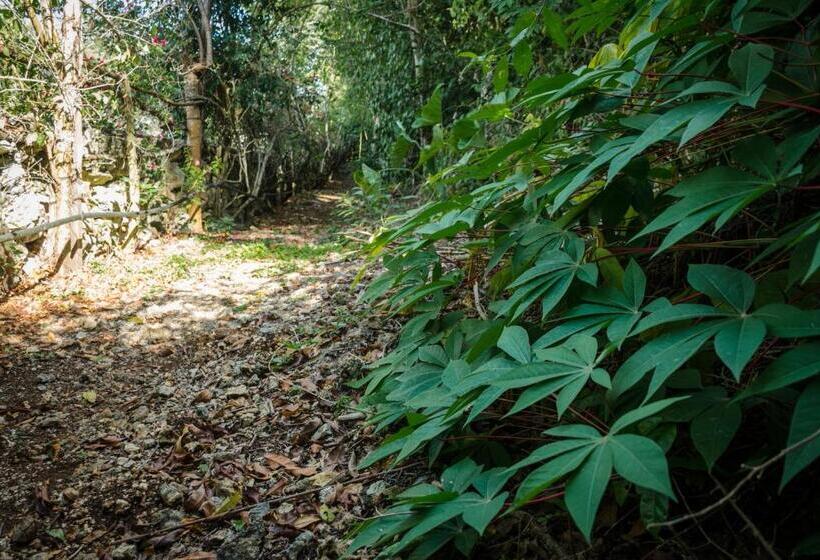 בית מלון כפרי Rotamundos Mama Loomm