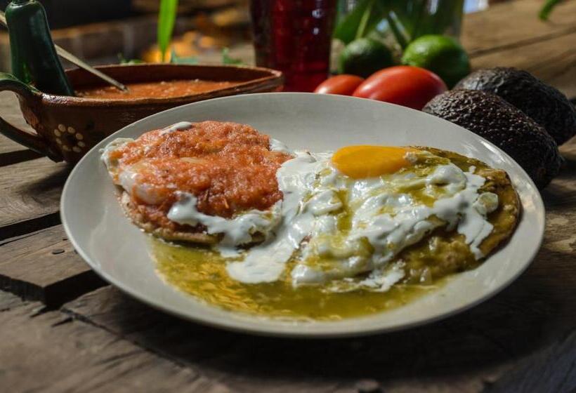 בית מלון כפרי Rotamundos Mama Loomm