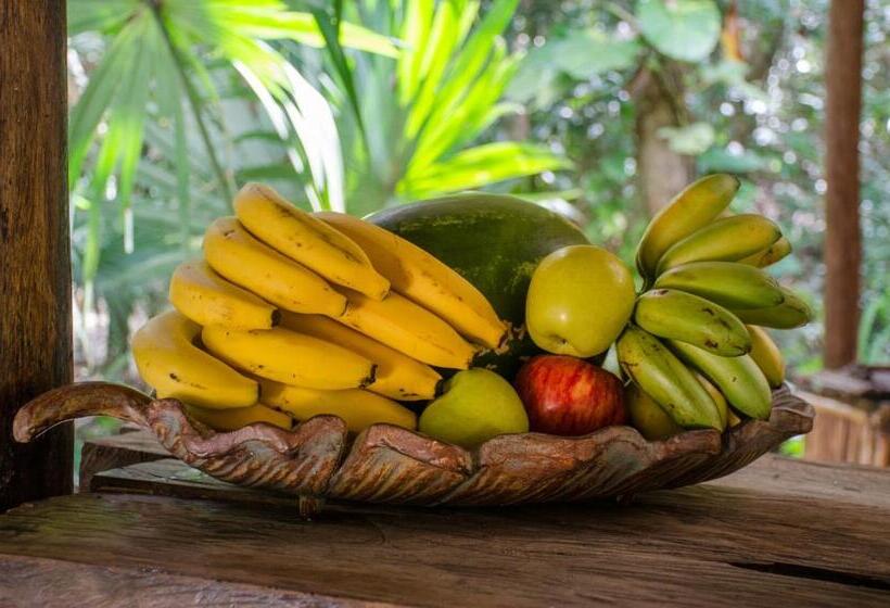 בית מלון כפרי Rotamundos Mama Loomm