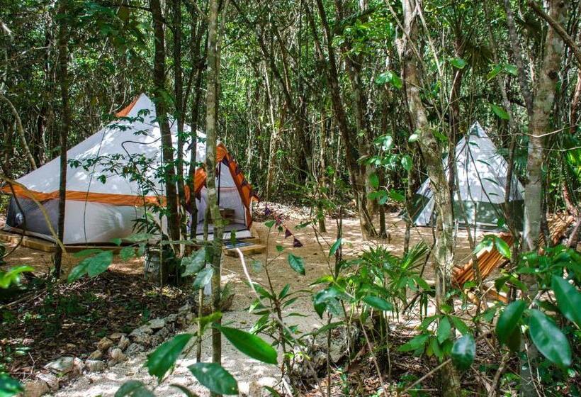 בית מלון כפרי Rotamundos Mama Loomm