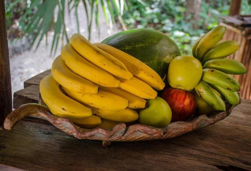 בית מלון כפרי Rotamundos Mama Loomm