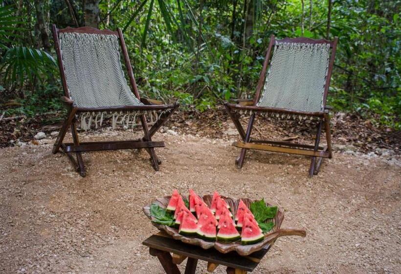 בית מלון כפרי Rotamundos Mama Loomm