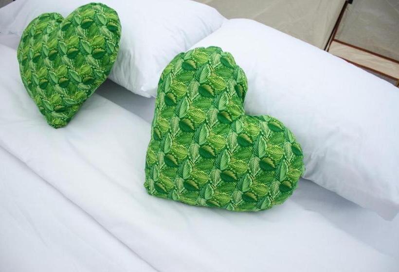 בית מלון כפרי Rotamundos Mama Loomm