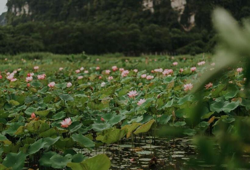 Aravinda Resort Ninh Binh