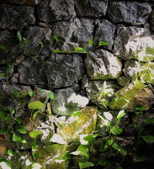 Aravinda Resort Ninh Binh