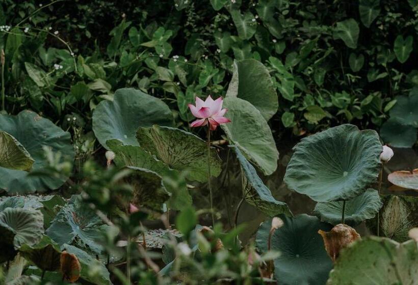 Aravinda Resort Ninh Binh