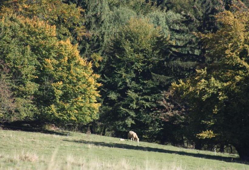 Cafe & Pension Carmen