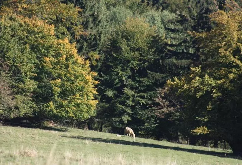 Cafe & Pension Carmen