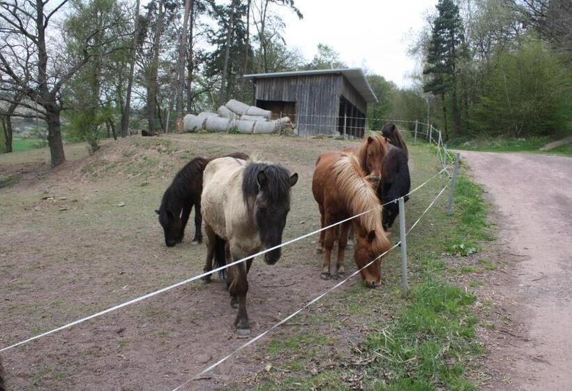 Cafe & Pension Carmen