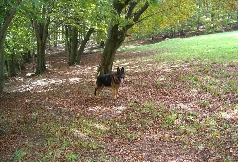 Cafe & Pension Carmen