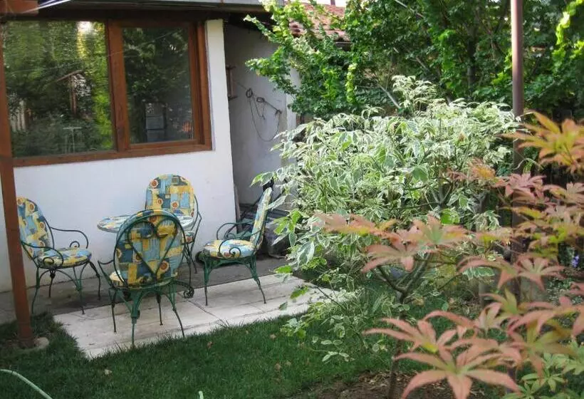 Hostel Oasis