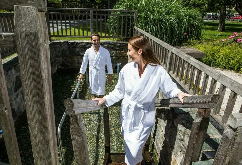 호텔 Optimamed Gesundheitsresort Weißbriach Gmbh