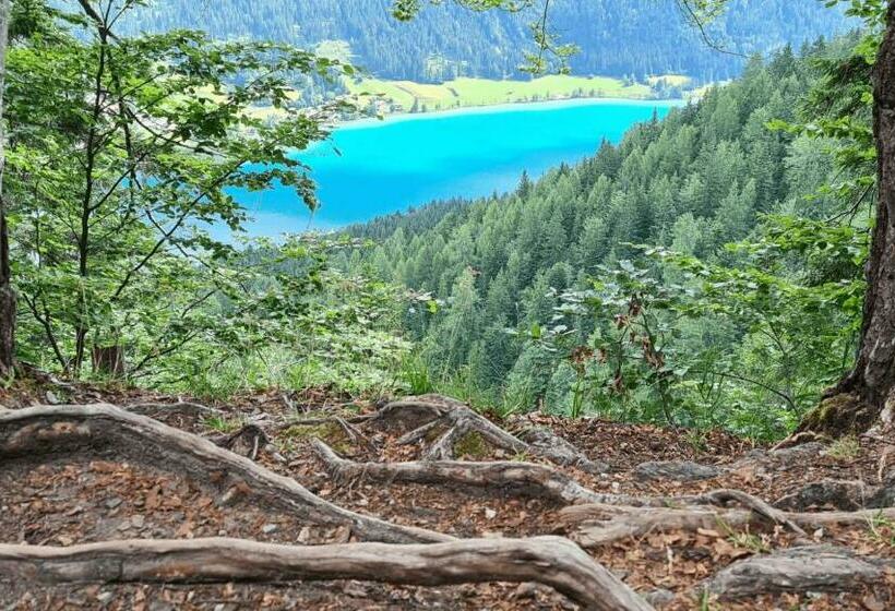 호텔 Optimamed Gesundheitsresort Weißbriach Gmbh