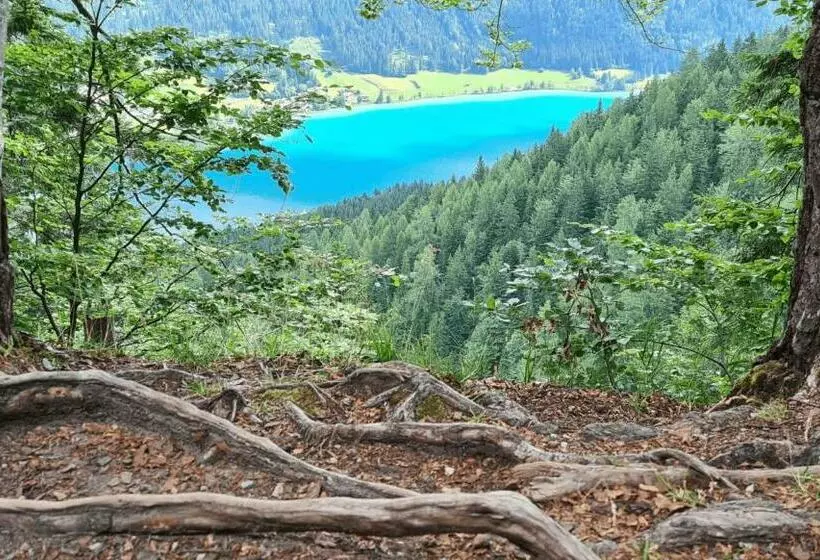 Hotelli Optimamed Gesundheitsresort Weißbriach Gmbh