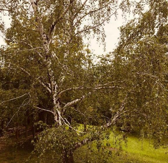 پانسیون Vikend Kuća Betula