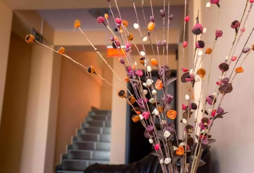 Pensiune Vila Amalya