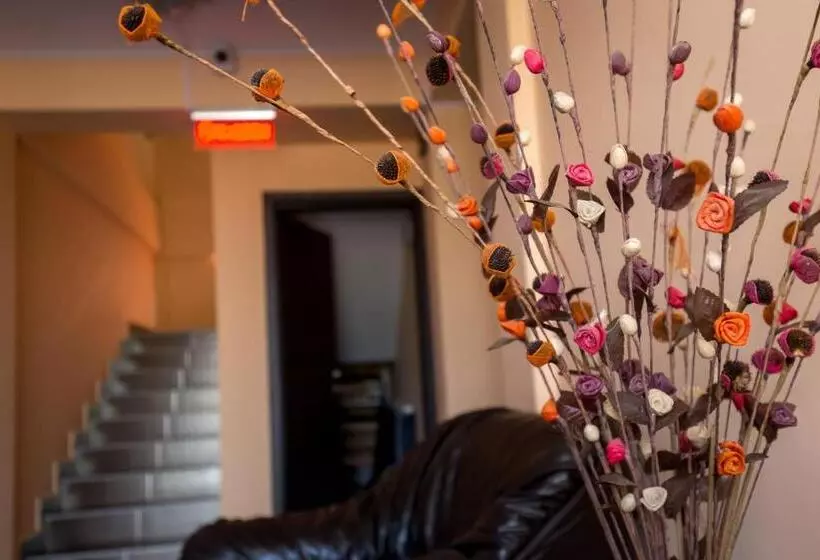 Pensiune Vila Amalya