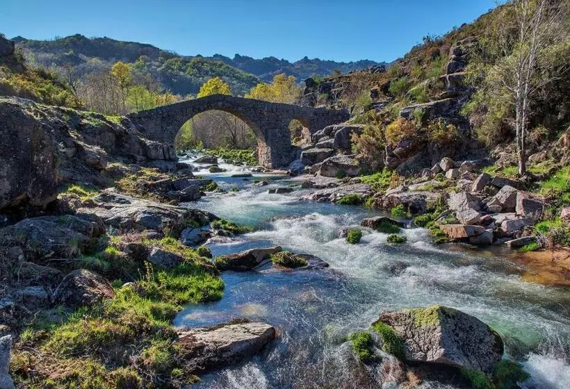 ベッドアンドブレックファースト Alojamento Local  Miradouro Do Castelo