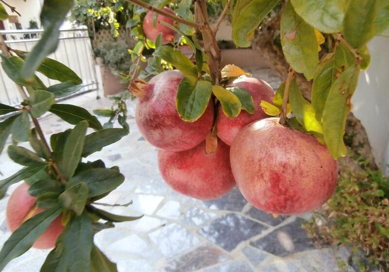 بنسيون Apartments Song