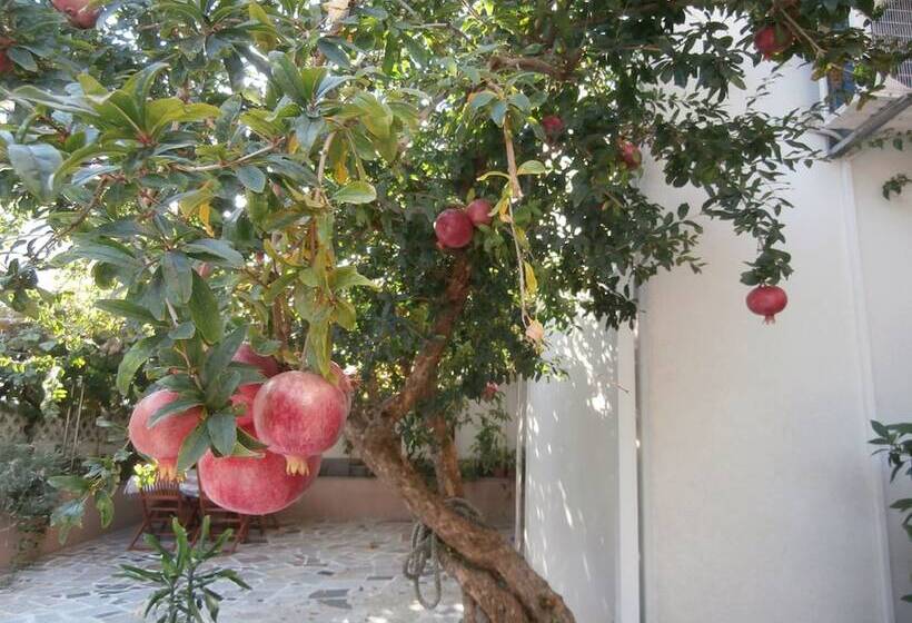 بنسيون Apartments Song