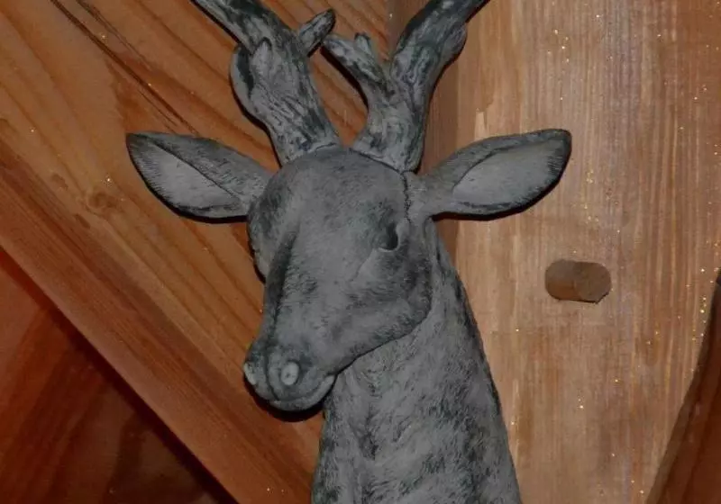 Majatalo Le Cerf Che  Near Aravet Gondola