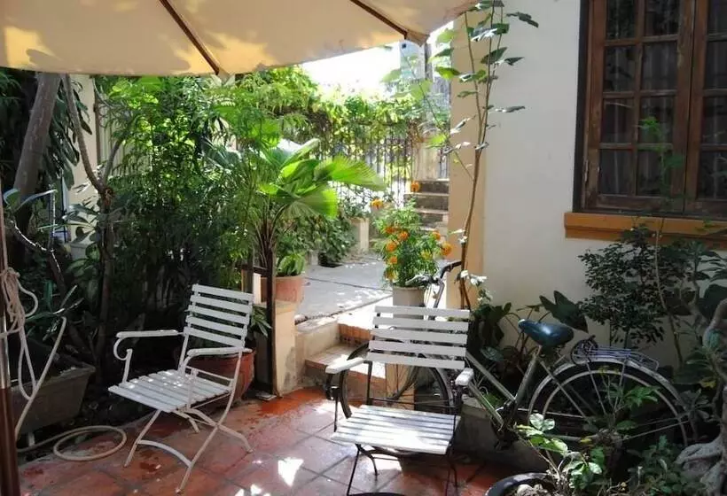 پانسیون Moon House Tropical Garden Lavender
