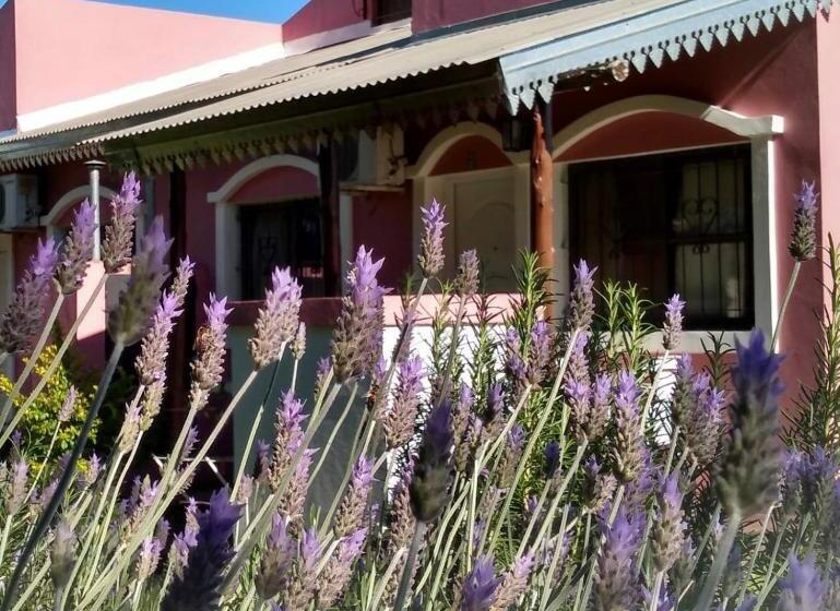 Bungalows Los Talas De San José