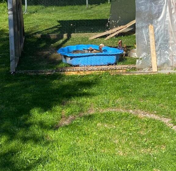 ペンション Privát Domino