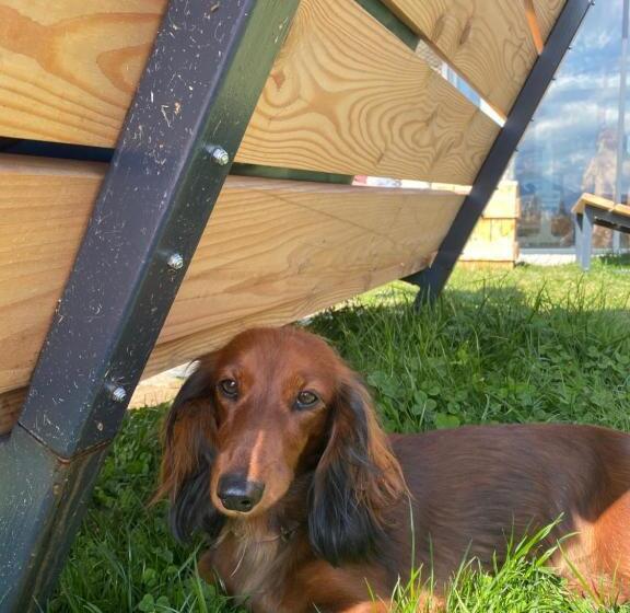 ペンション Privát Domino