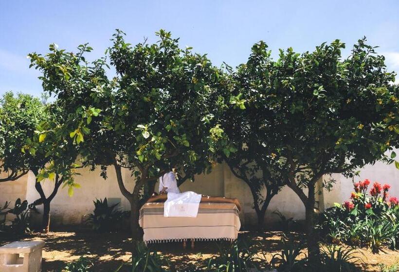 Курорт Masseria D'erchia