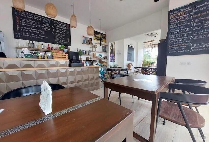 Haven City At The Gallery