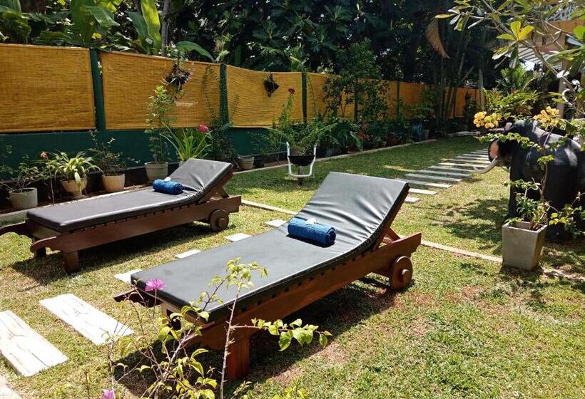 ホテル Villa Bentota River View