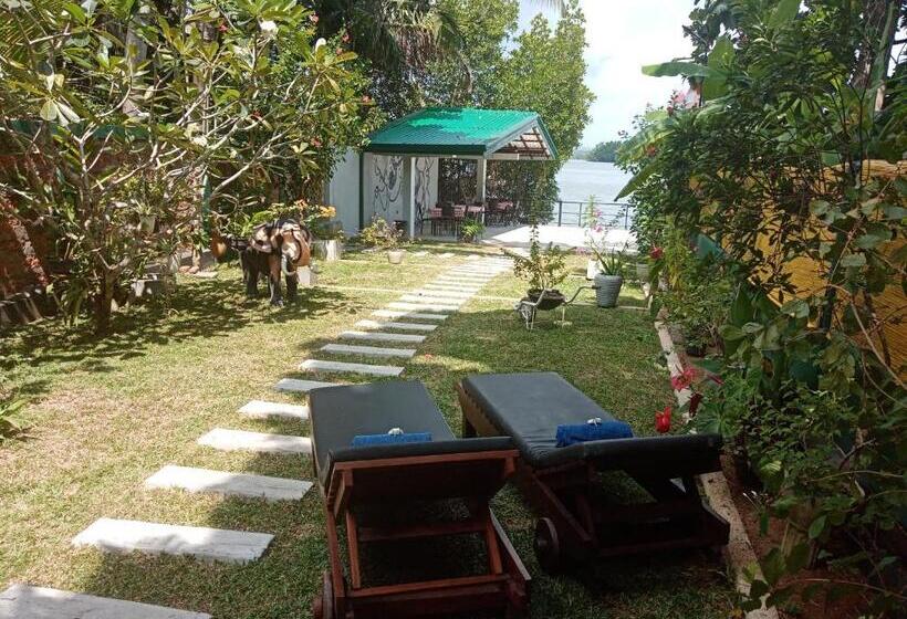 ホテル Villa Bentota River View