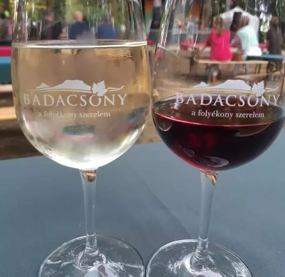 ペンション Pihi Vendégház