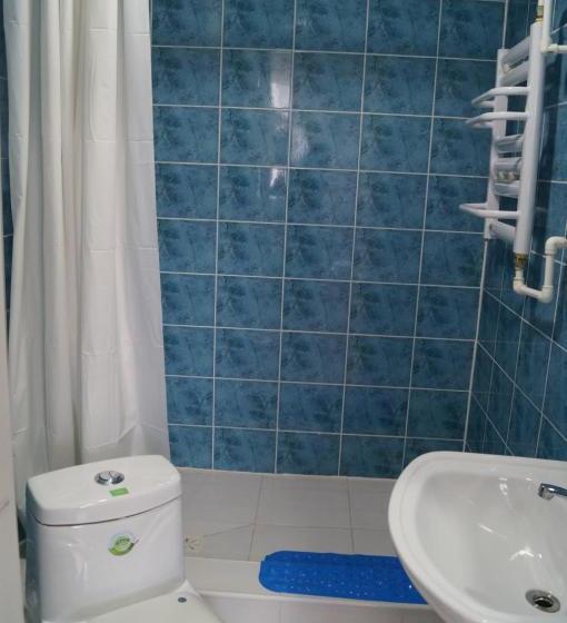 پانسیون Tara Lodge