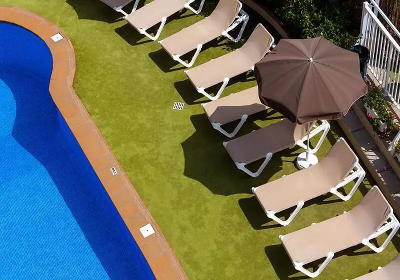 Apartamentos Los Dragos Del Norte