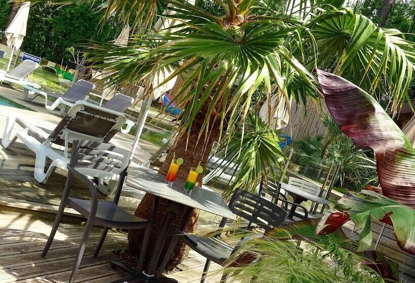 酒店 Ibis Arcachon La Teste De Buch