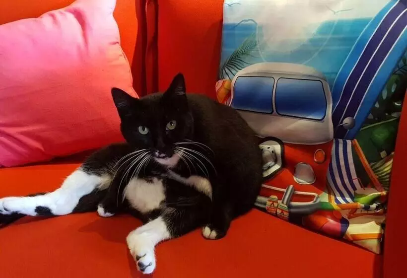 Szálloda Ibis Arcachon La Teste De Buch