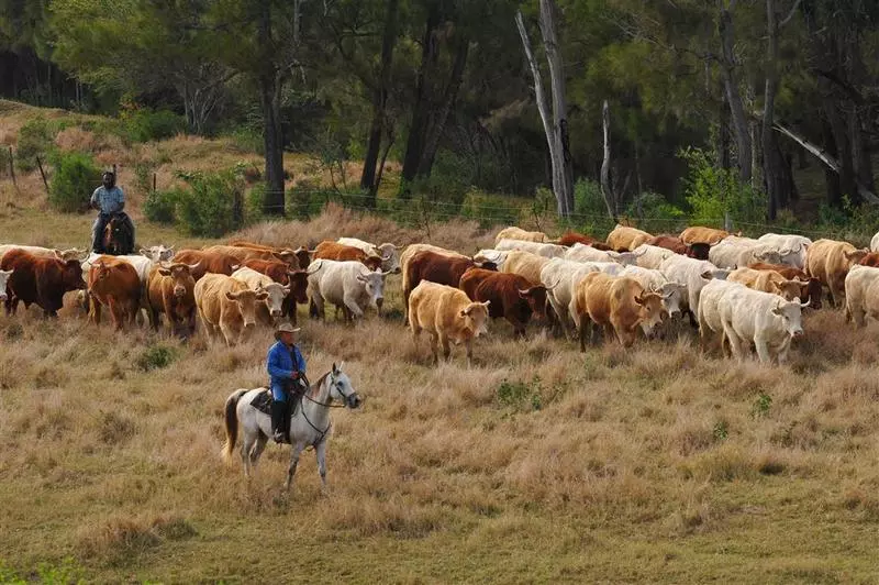 Отель Le Méridien Ile Des Pins