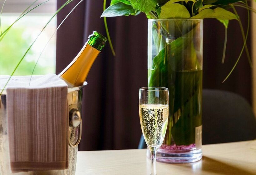 هتل Mercure Nevers Pont De Loire