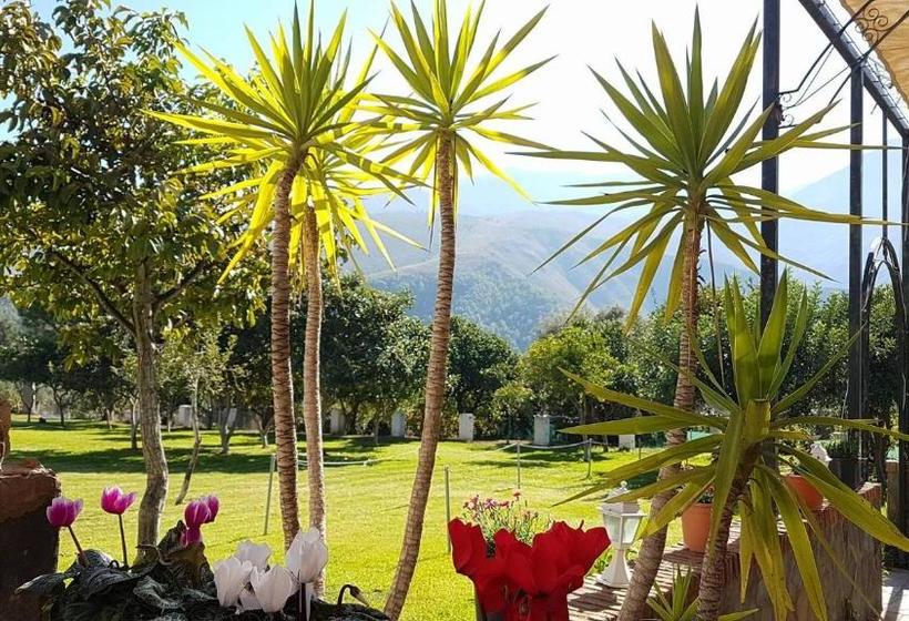 Hotel Taray Botanico