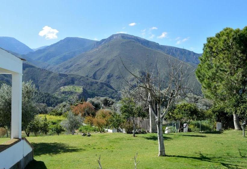 Hotel Taray Botanico