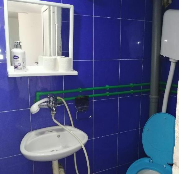 هاستل Aleksandar