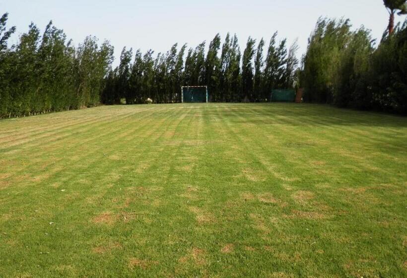 Alojamiento Mesón El Pozuelo