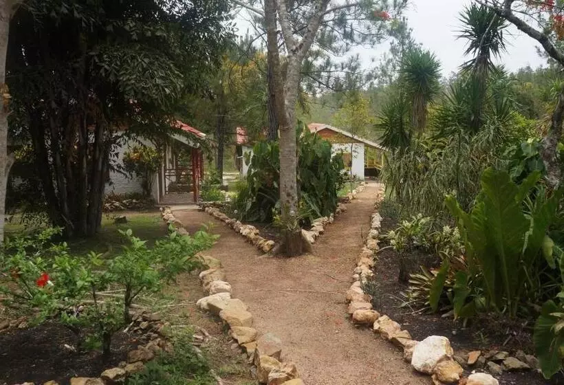 هتل Pine Ridge Lodge