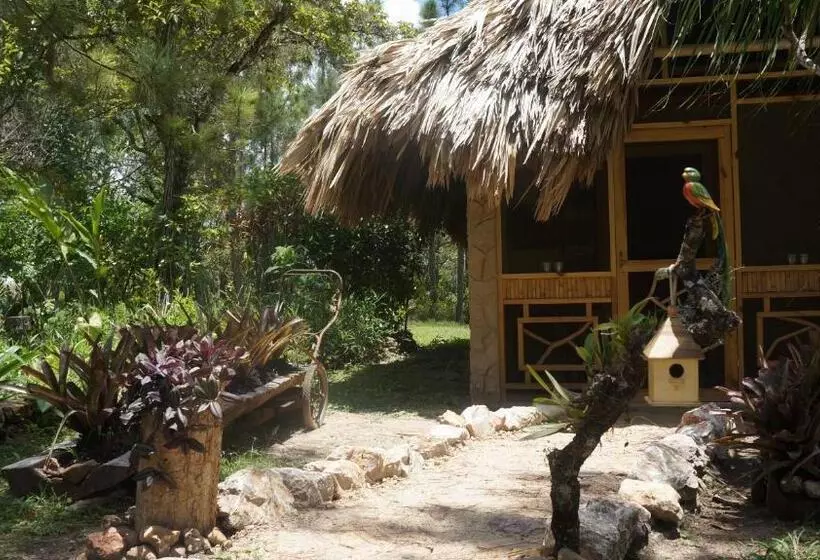 هتل Pine Ridge Lodge