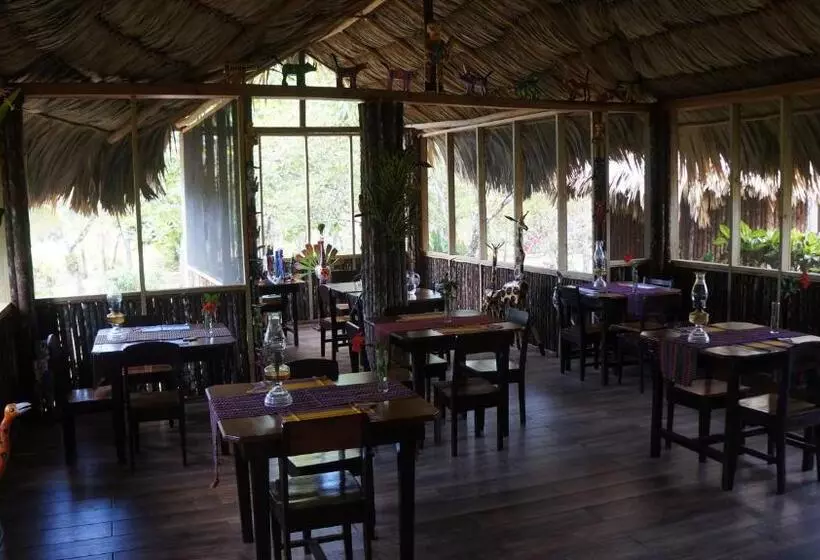 هتل Pine Ridge Lodge
